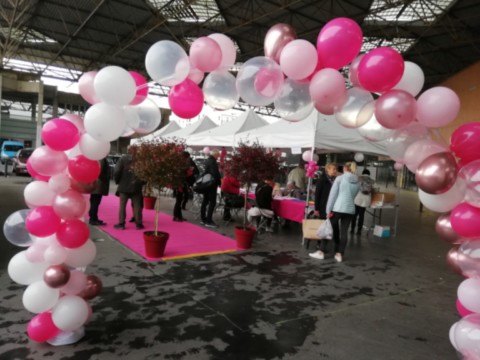 plongée bonnets roses
